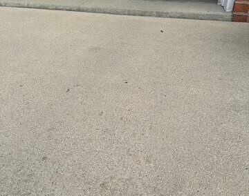 Driving Pains – Lima, OH