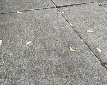 Leveling and sealing a driveway & sidewalk in Toledo, OH