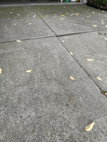 Leveling and sealing a driveway & sidewalk in Toledo, OH