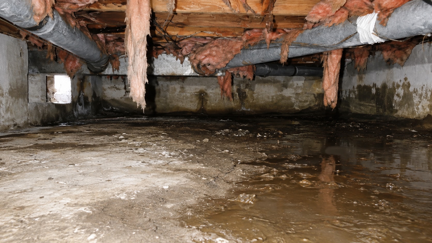Crawl Space Repair & Encapsulation