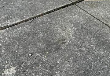 Concrete Stoop Leveling: Modern Methods, Costs, and What to Expect