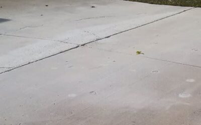 Stop Settling for Weak Pours and Find a Reliable Concrete Company Near Me